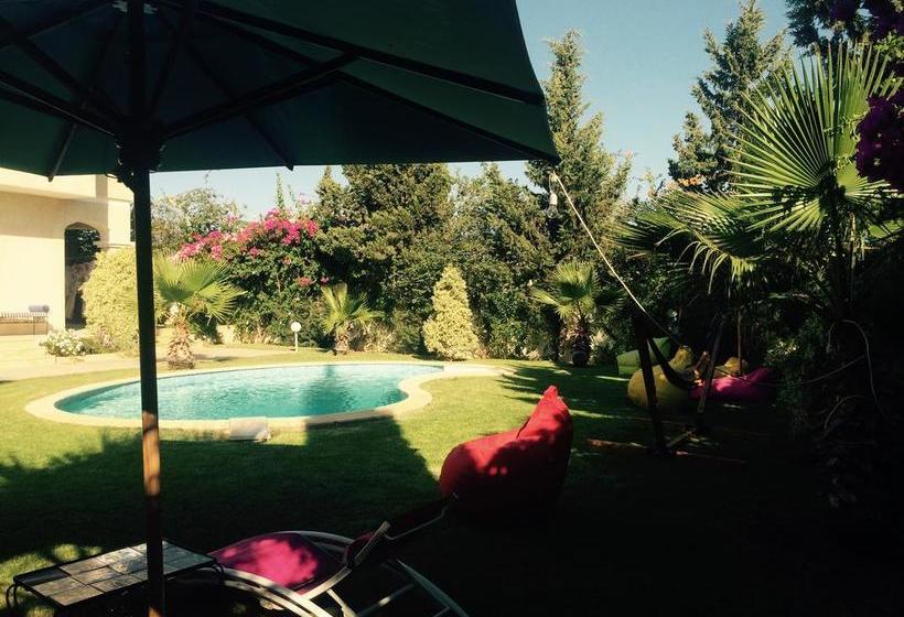 تختخواب و صبحانه Dar Khereddine