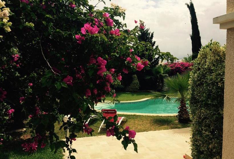 تختخواب و صبحانه Dar Khereddine