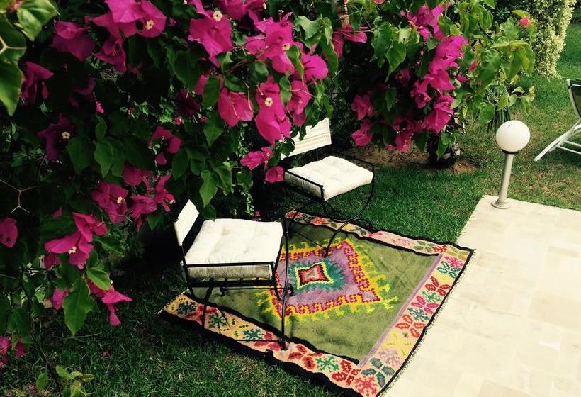 تختخواب و صبحانه Dar Khereddine