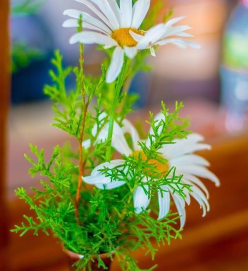 민박 Leisure Mount View Holiday Inn