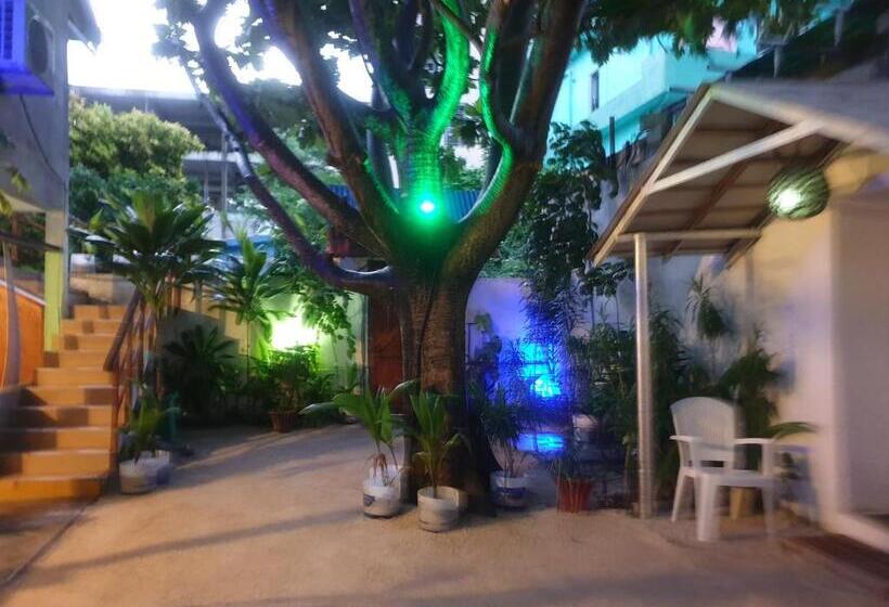 تختخواب و صبحانه Maafushi View