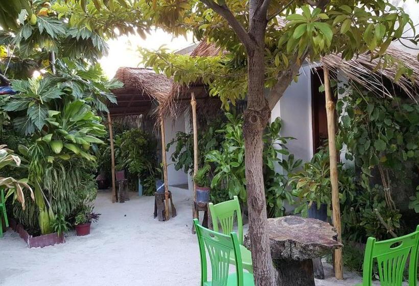 تختخواب و صبحانه Maafushi View