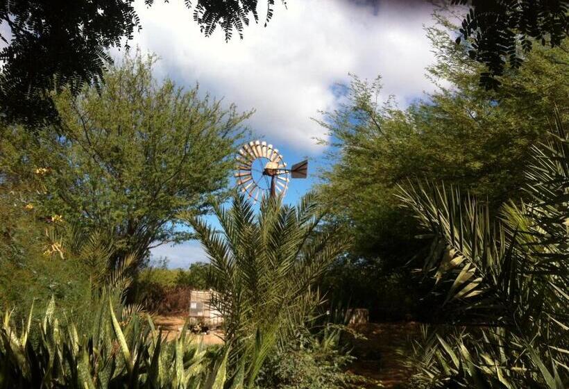 Bed and Breakfast Villa Morabeza Guest House