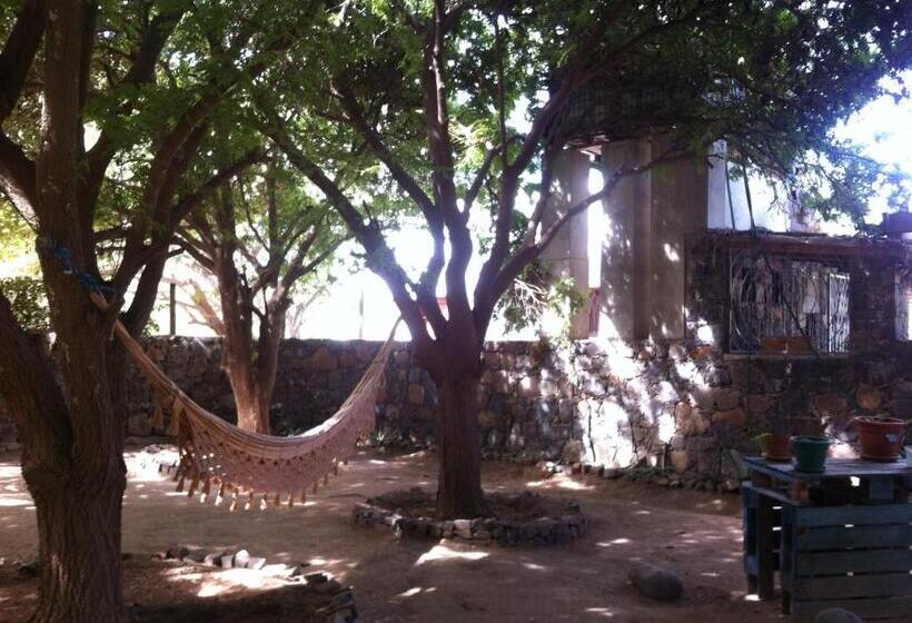 Bed and Breakfast Villa Morabeza Guest House