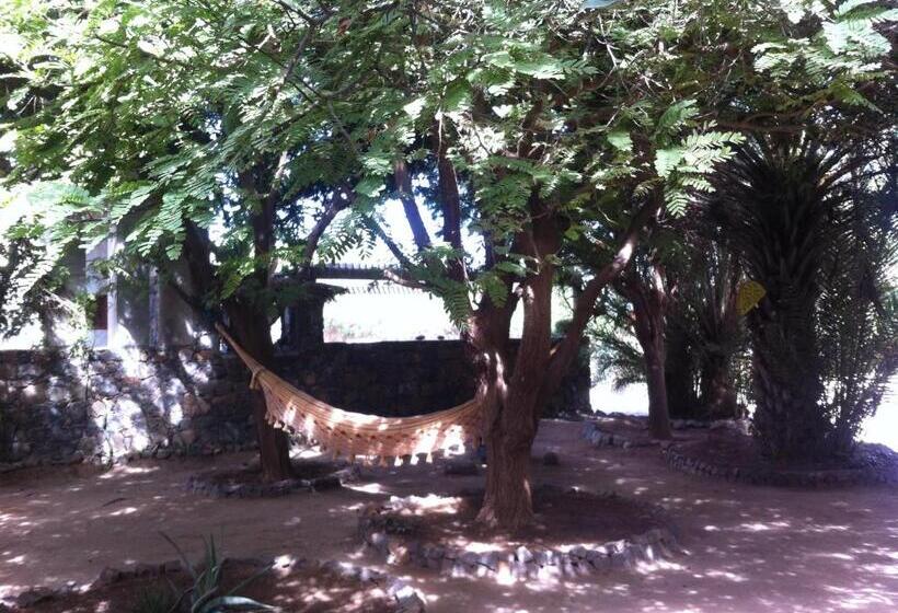 Bed and Breakfast Villa Morabeza Guest House