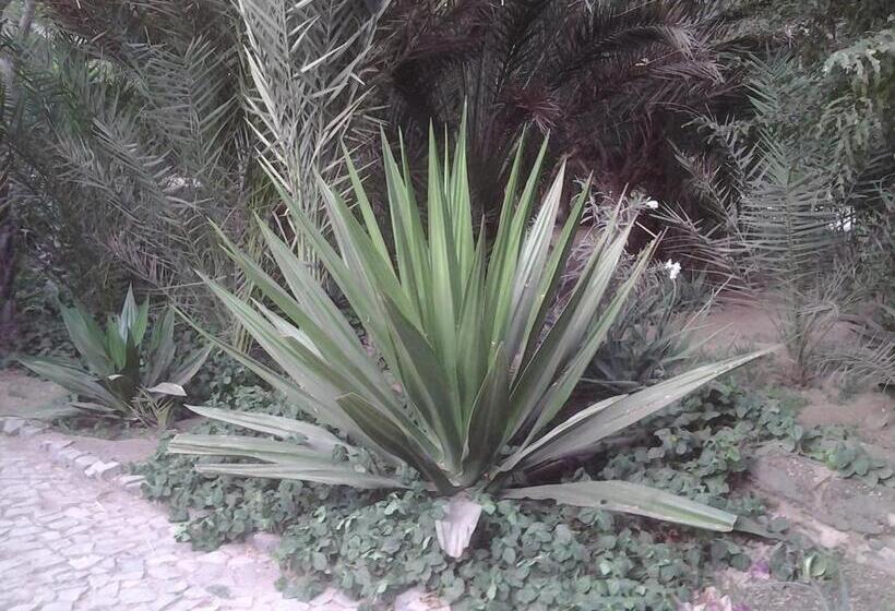 Bed and Breakfast Villa Morabeza Guest House