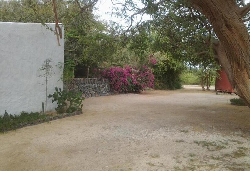 Bed and Breakfast Villa Morabeza Guest House