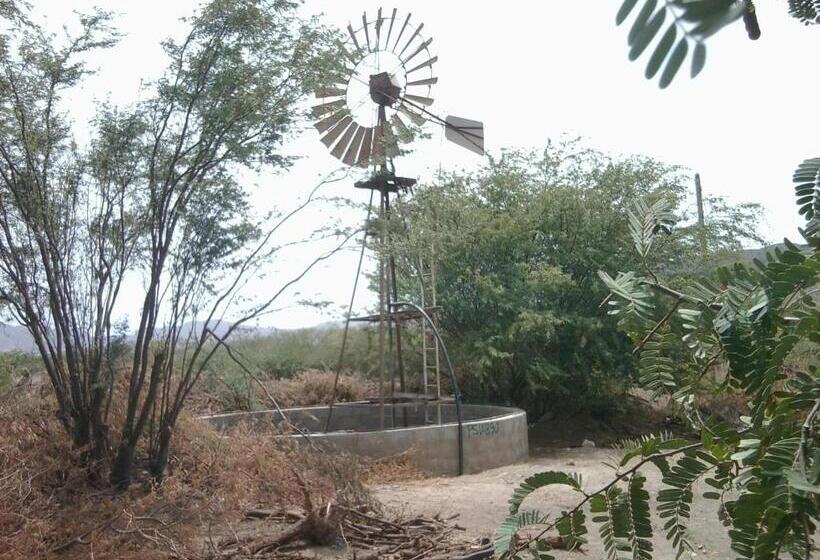 Bed and Breakfast Villa Morabeza Guest House