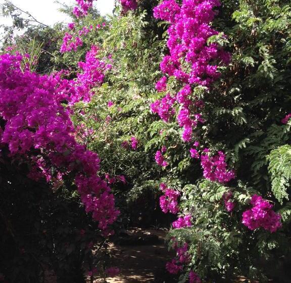 Bed and Breakfast Villa Morabeza Guest House