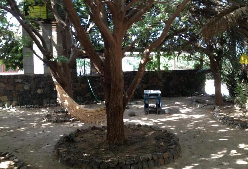 Bed and Breakfast Villa Morabeza Guest House