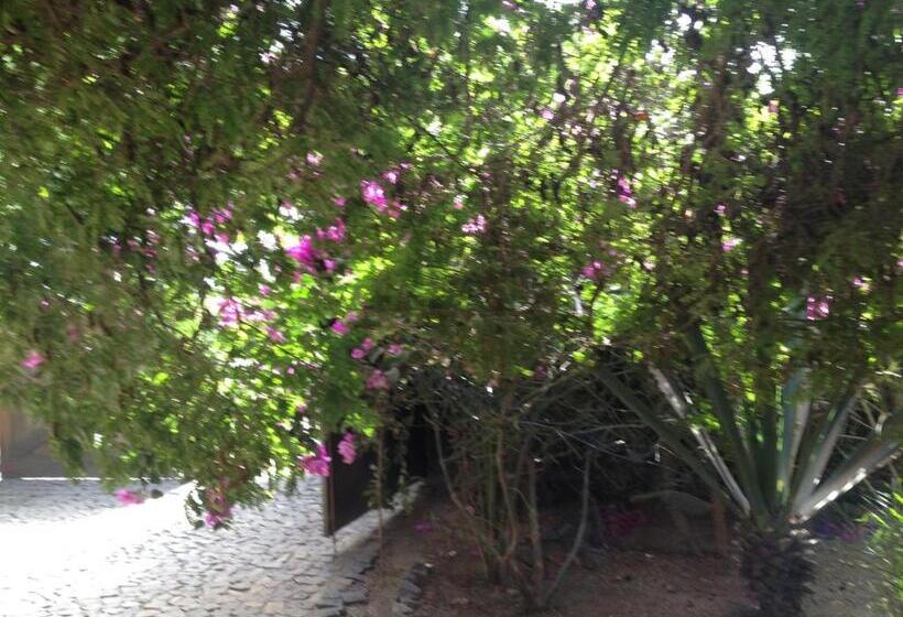 Bed and Breakfast Villa Morabeza Guest House