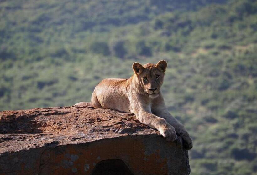 민박 Whalesong Guest House