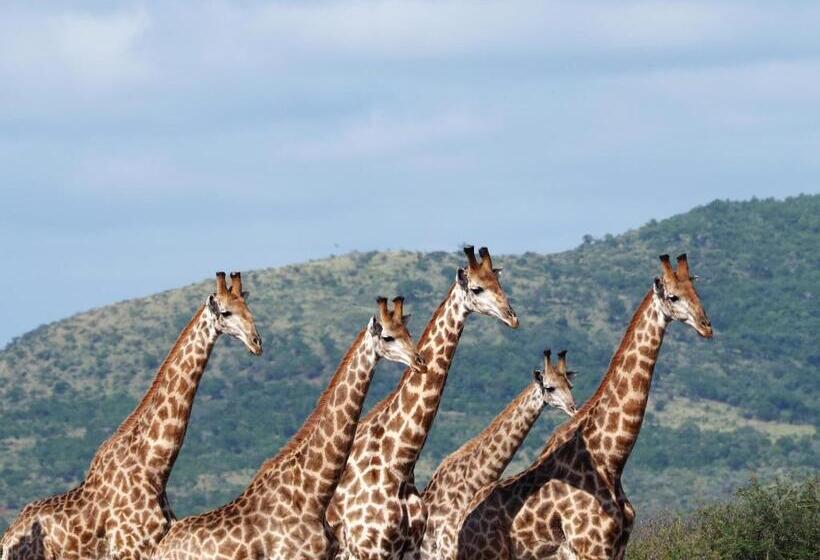 민박 Whalesong Guest House