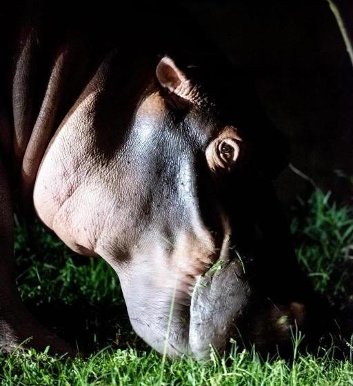 민박 Whalesong Guest House