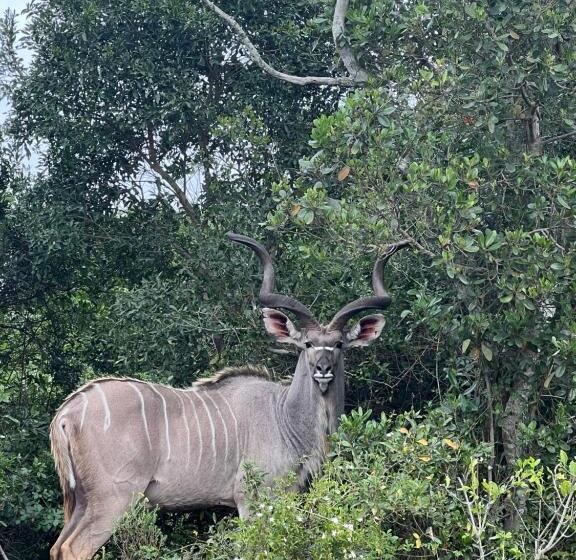 민박 Whalesong Guest House