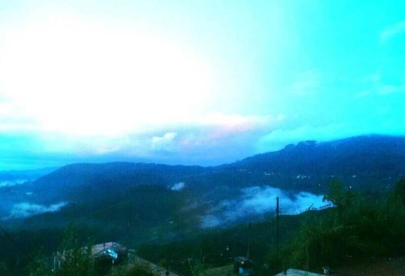 Bed and Breakfast White Home