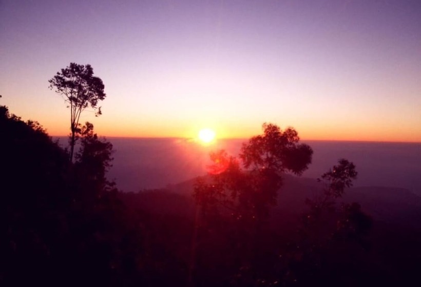 Bed and Breakfast White Home