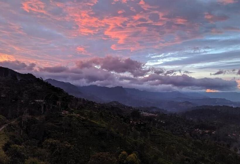 Bed and Breakfast White Home