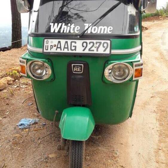 Bed and Breakfast White Home