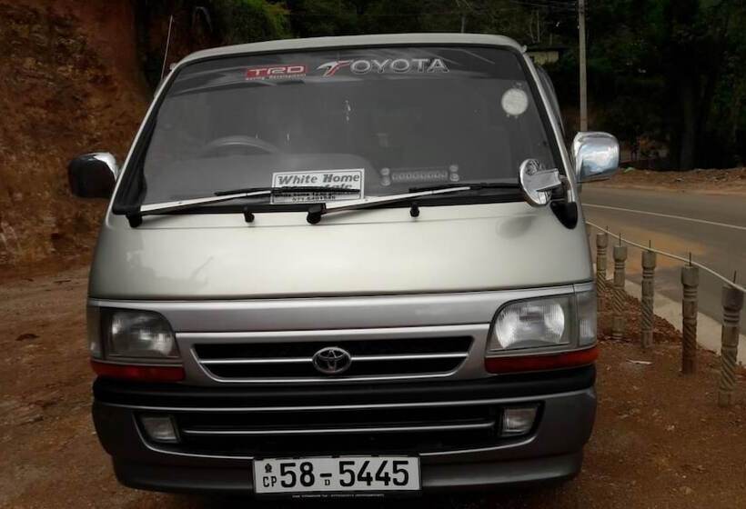 Bed and Breakfast White Home