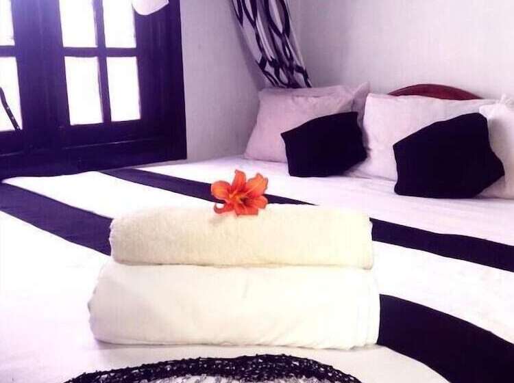 Bed and Breakfast White Home