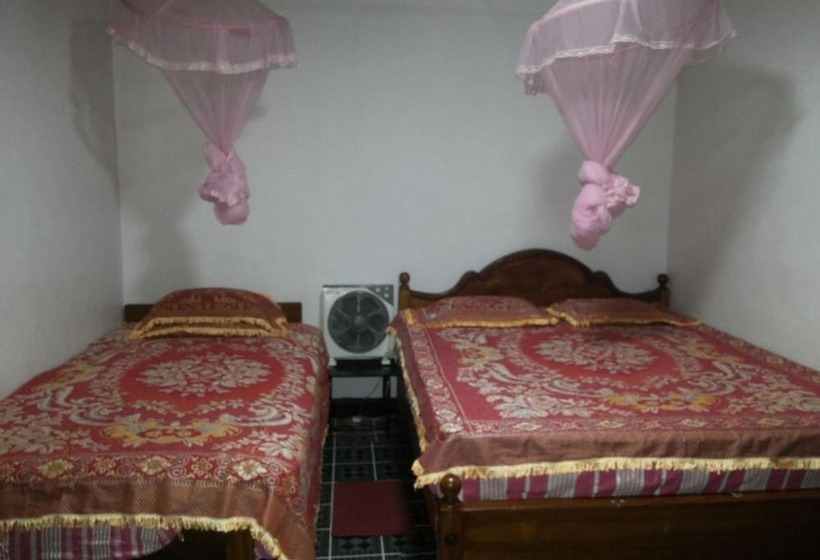 Bed and Breakfast White Home