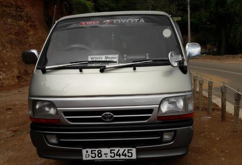 Bed and Breakfast White Home