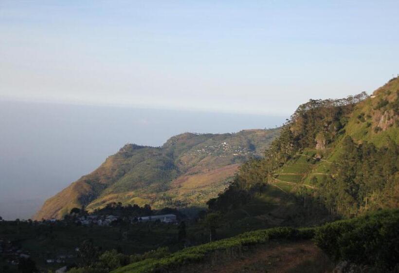 Bed and Breakfast White Home