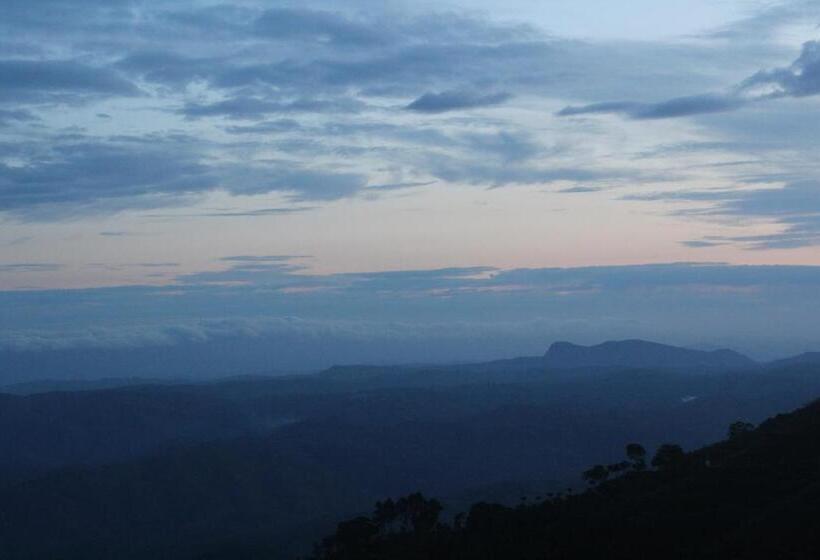 Bed and Breakfast White Home