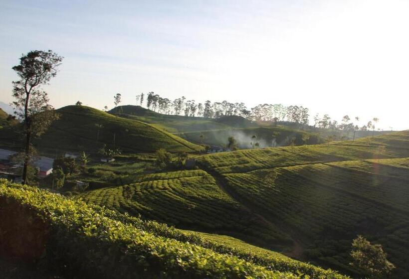 Bed and Breakfast White Home