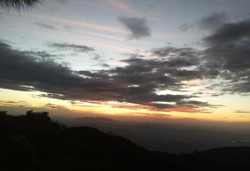 Bed and Breakfast White Home