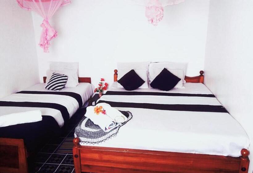 Bed and Breakfast White Home