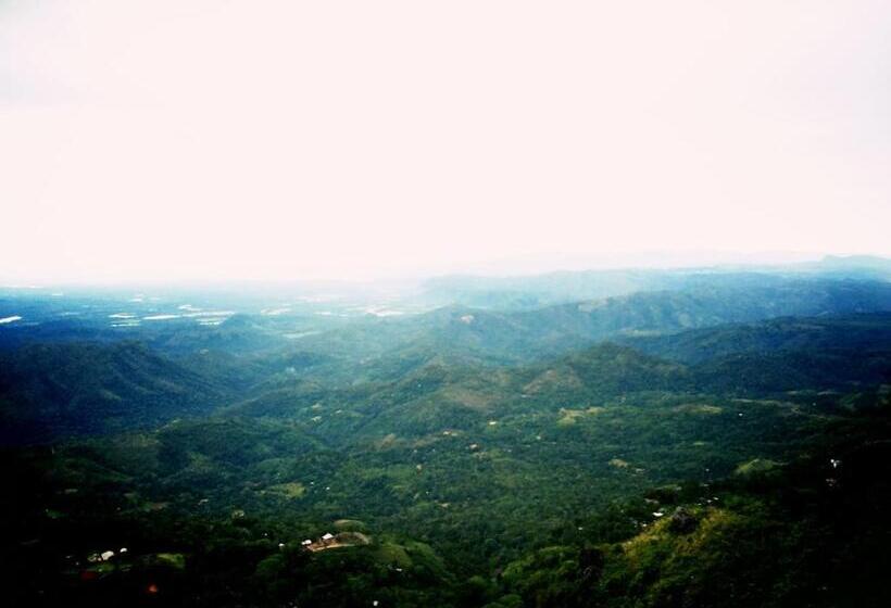 Bed and Breakfast White Home