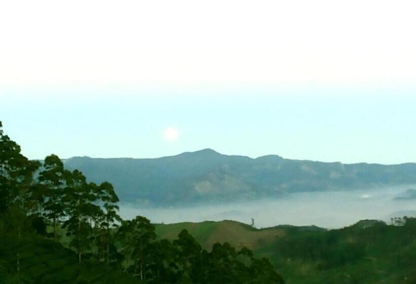 Bed and Breakfast White Home