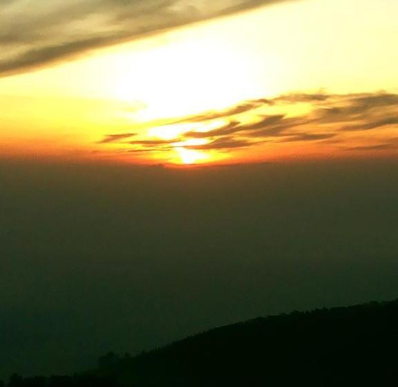 Bed and Breakfast White Home