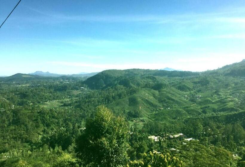 Bed and Breakfast White Home