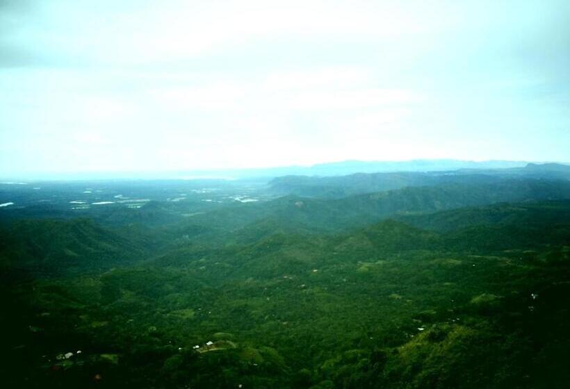 Bed and Breakfast White Home