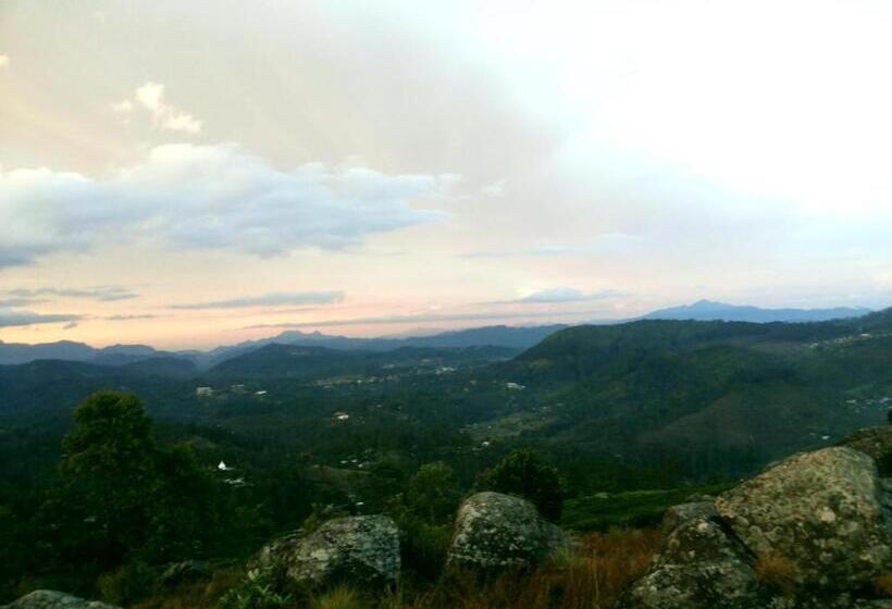 Bed and Breakfast White Home