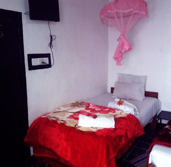 Bed and Breakfast White Home