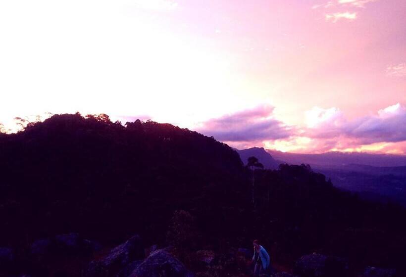 Bed and Breakfast White Home