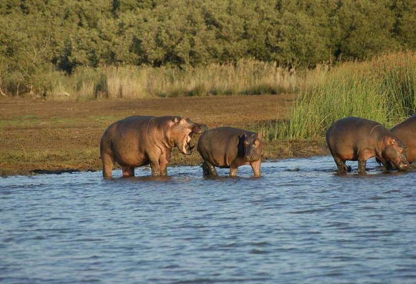 Bhangazi Lodge Bed & Breakfast