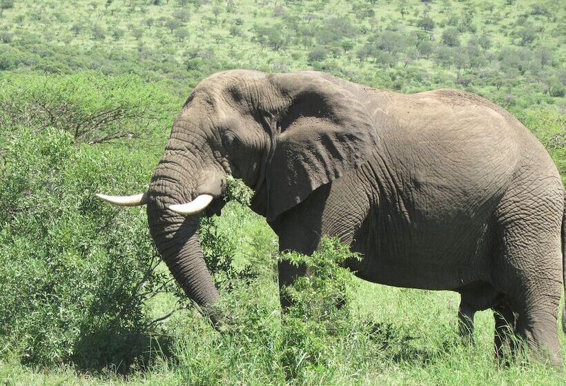 Bhangazi Lodge Bed & Breakfast