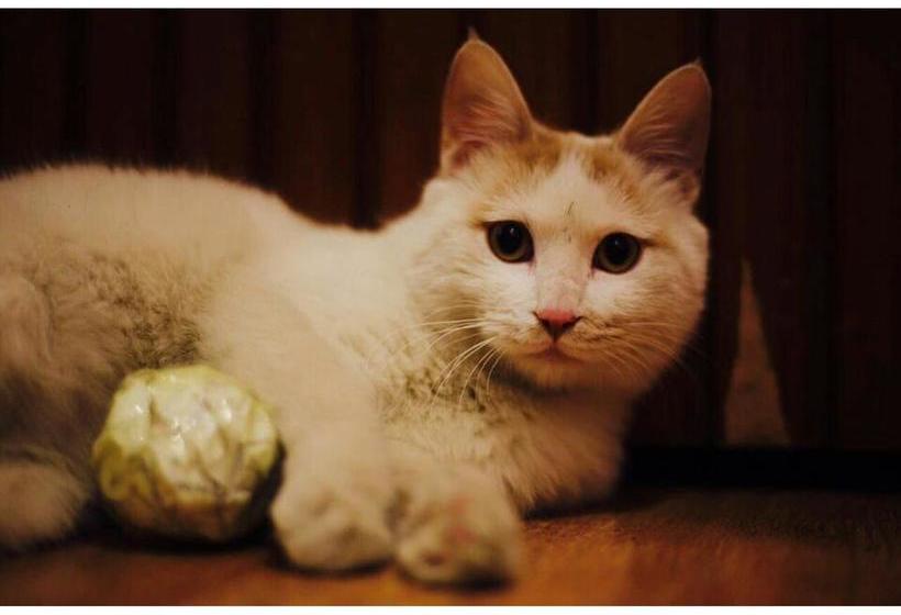 Datong Green Island Youth Hostel