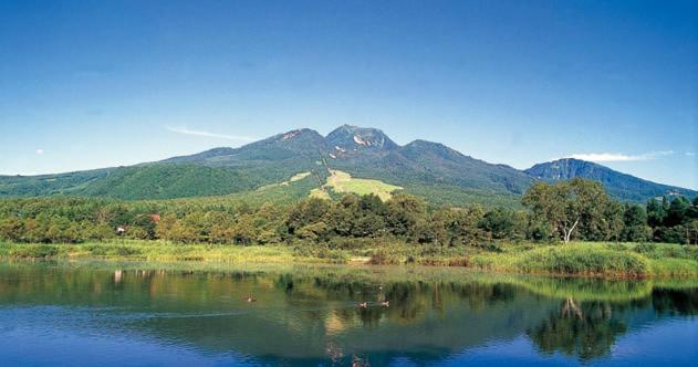 בית מלון כפרי Akakura Wakui