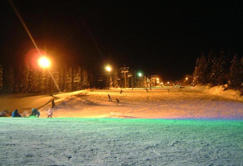 בית מלון כפרי Akakura Wakui