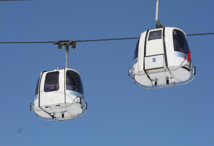 בית מלון כפרי Akakura Wakui