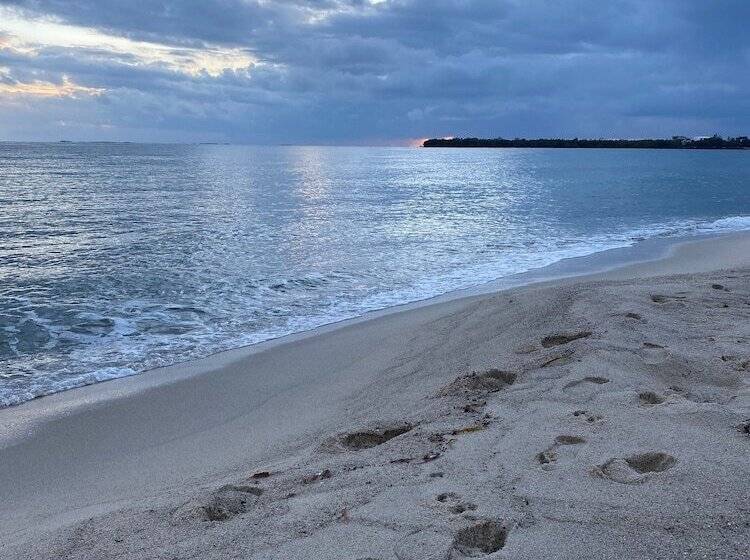 호텔 Belizean Nirvana