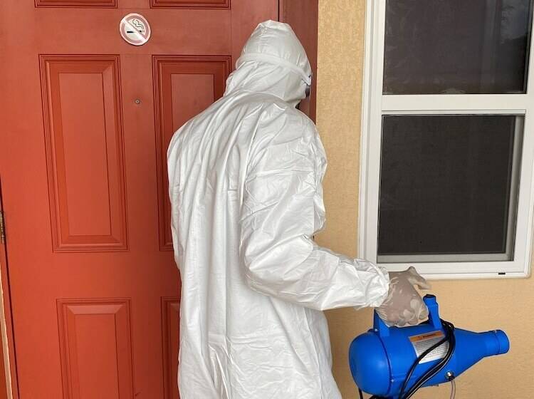 호텔 Belizean Nirvana