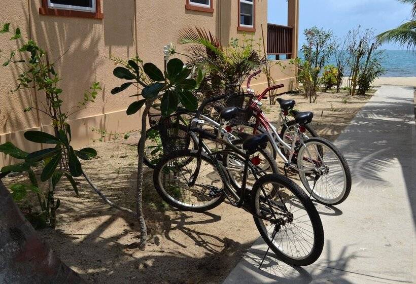 호텔 Belizean Nirvana