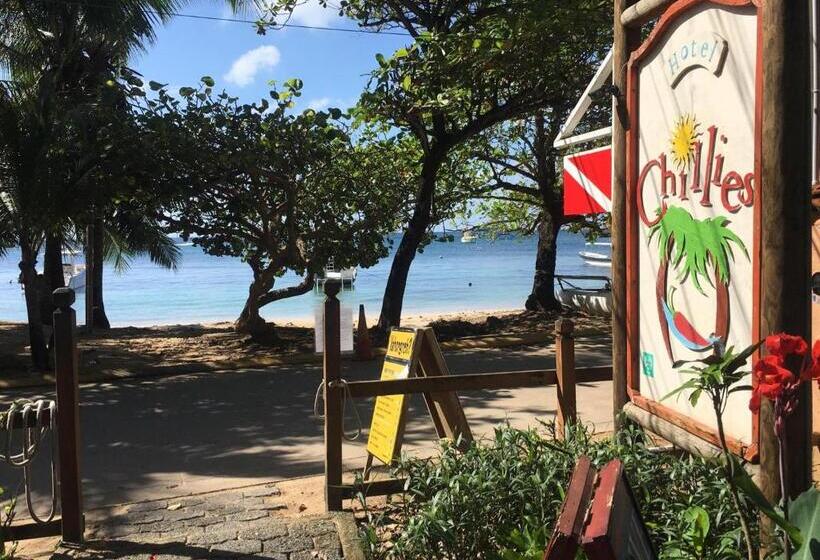 هتل Chillies And Native Sons Diving